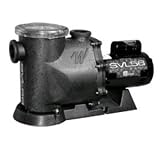 Waterway In-Ground Pool Pump 1 1/2 HP