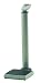 >Digital Physician Waist-High Scale_Health o meter&Acirc;&reg;