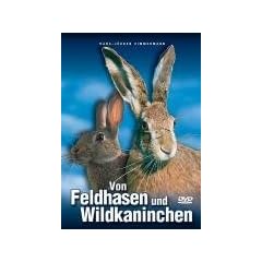 Von Feldhasen und Wildkaninchen