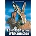 Von Feldhasen und Wildkaninchen
