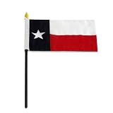 Texas Flag 4 x 6 inch