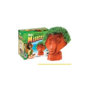 Chia Pet Decorative Indoor Pottery Planter - Madagascar Alex