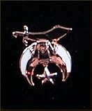 Thumbnail image for Copper Shriners Masonic Freemason Lapel Pin