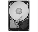 Seagate Barracuda 7200.11 1 TB SATA 32 MB Cache Bulk/OEM Hard Drive ST31000333AS