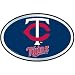 Minnesota Twins Color Auto Emblem