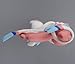 Takaratomy Official Pokemon X and Y MC-026 2