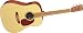Martin DXME Acoustic-Electric Guitar