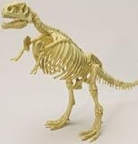 A Night At the Museum / Jumanji 4 Disc Collection with T-Rex Skeleton & Jumanji Trading Cards