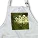 Queen Annes Lace by Angelandspot - Waist Apron With Pockets