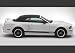 Top Level Stripe Kit For 2005-2009 Ford Mustang - White