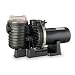 Pump,Pool/Spa,3 HP Dayton P4E6H-190L