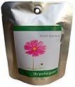 Gerbera 'Happy Birthday' Pocket Garden Unusual Gift