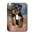 Dogs Toy Yorkie - Toy Yorkie Puppy - Light Switch Covers - Single Toggle 