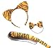 DangerousFX Orange Black Stripe Tiger Wild Animal Cat Ears Band Bow Tail Fancy Dress Up Set