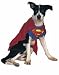 Superman Dog Halloween Costume Pet Size Small