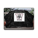 University of Wisconsin Grill Cover