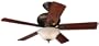 HUNTER HR 23480 52" Ceiling Fan New Bronze W/ Light & 5 Dk Cherry/Med Oak Blades