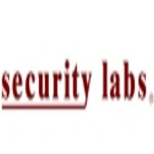 Security Labs SLC-1037C-B Refurbished 1/3-iNCH Color Clock Camera With Pinhole Lens