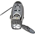 Click here to buy Life Gear 6-in-1 Personal Safety Device with LCD, Chrome #PSD6N1 by Life Gear.