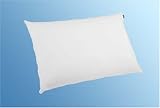 Standard Poly Pillow
