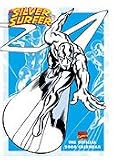Silver Surfer Mini Poster Shs 2008 Calendar