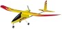 R/C SkyFly Electric RTF Airplane