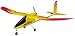 R/C SkyFly Electric RTF Airplane