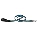 Pet Supplies : Lupine 'New Wave' 3/4' Padded Handle Lead (Blue and green, 6')