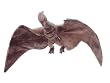 Rodan Plush Toy (Godzilla Line)