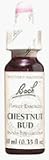 Bach Flower Remedies Cheststnut (20 ml)