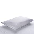 Healthy Zzz Allergy Barrier Pillow Encasement