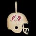 Search : Solid 14K Gold Tampa Bay Buccaneers NFL Helmet Necklace Pendant