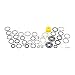 RockShox Duke/Psylo Service Kit with O-rings, Glide Rings