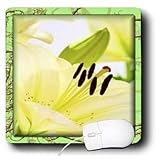Susan Brown Designs Flower Themes - Painted White Daylily - Mouse Pads