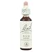Bach Original Flower Remedies Rock Rose (Helianthemum nummularium) 20ml Dropper
