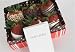 Baby's First Bible in White with 6 Berry Gift Box