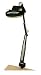 Tools & Hardware : Grandrich ML-600 Magnifier Lamp with 100-Watt Halogen Light