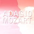 �A�_�[�W���E���[�c�@���g