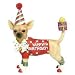 Chihuahua HAPPY BIRTHDAY Gift Unique Figurine Statue