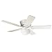 Hunter 20810 Low Profile lll Plus, 52-Inch Ceiling Fan with Five Blades, White
