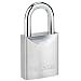 Master Lock 991DPF Steel Body Padlock, 1-3/4-Inch