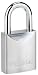 Master Lock 991DPF 1-3/4-Inch Steel Body Padlock