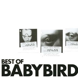 Babybird - The F Word Lyrics - Zortam Music
