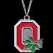 College Logo Pendant on Chain - Ohio State Buckeyes