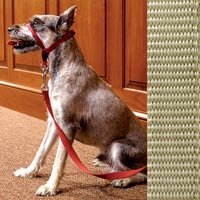 NEW+PREMIER LARGE+FAWN GENTLE LEADER DOG+PUPPY COMPLETE TRAINING SYSTEM