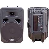 Pyle PPHP1598A 1000W 2 Way 15-Inch Powered Loudspeaker