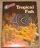 Tropical fish
