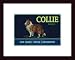 Collie Lemon Label, 1920 by unknown 13.88X20.63 Framed with Black Wood Frame