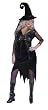 PLUS SIZE Nouveau Witch Costume in Plus Size (WOW - Includes Hat Too)