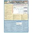 Lotus Notes 6.5 (Quickstudy: Computer)